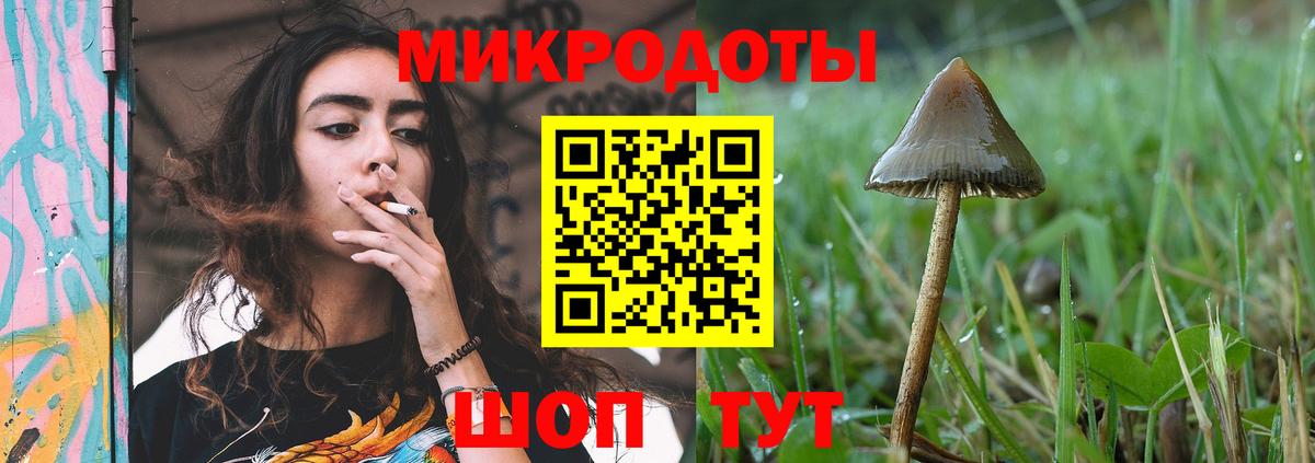 Псилоцибиновые грибы Cubensis Рыбинск