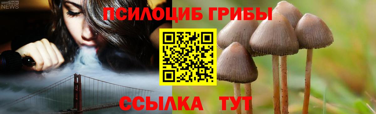 Псилоцибиновые грибы Cubensis  Вход с VPN  Рыбинск 